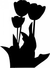 Say It Loud with BlackTulips.org